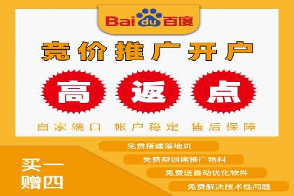 百度推广案例：精准广告投放策略解析